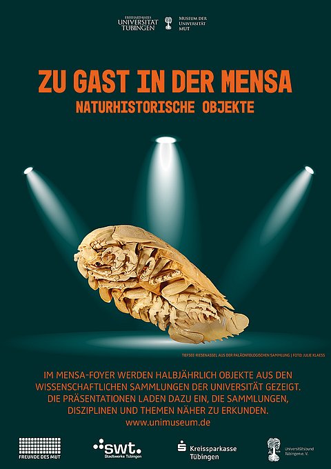 Auf dunklem Grund in orangener Schrift der Titel "Zu Gast in der Mensa" und „Naturhistorische Objekte“, darunter eine sandfarbene historische Assel, von Strahlern angestrahlt