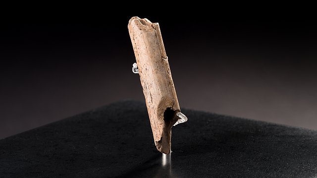 Ursprung von Musik: Die Vogelknochenflöte aus dem Vogelherd ist mit ihren 40 000 Jahren eines der ältesten Musikinstrumente der Welt