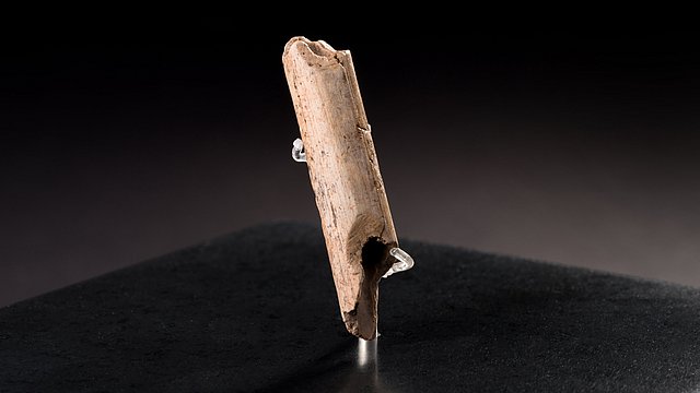 Ursprung von Musik: Die Vogelknochenflöte aus dem Vogelherd ist mit ihren 40 000 Jahren eines der ältesten Musikinstrumente der Welt