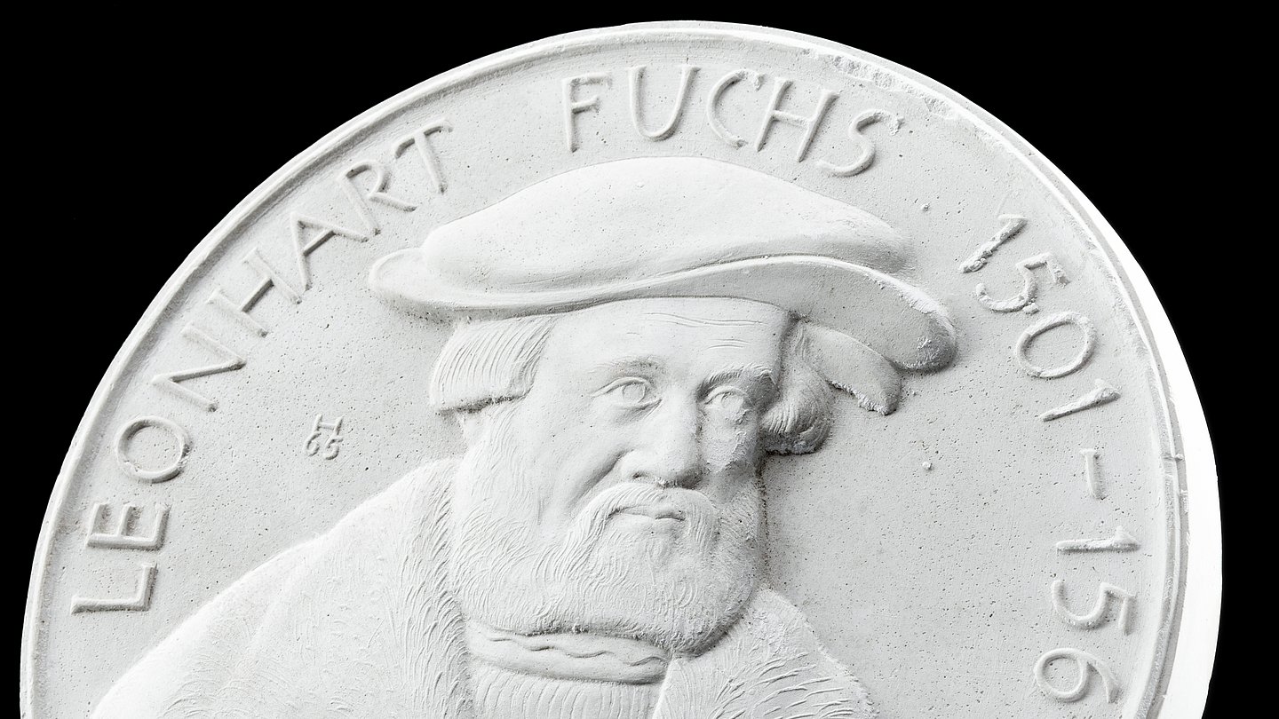 Siegelvorarbeit, Leonhart Fuchs, Gips
