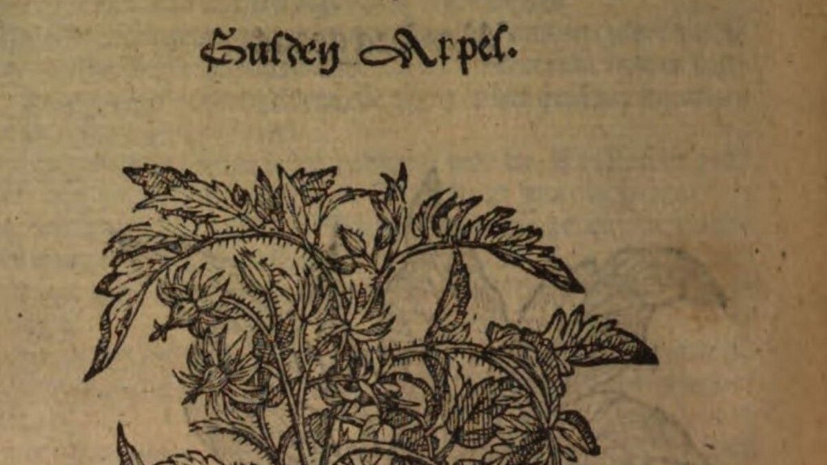 © Universitätsbibliothek Tübingen