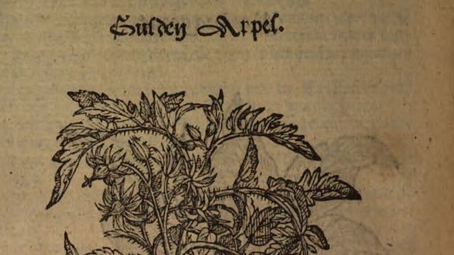 © Universitätsbibliothek Tübingen