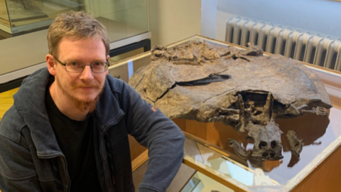 © Podcast Dinosaurier und andere Urzeittiere