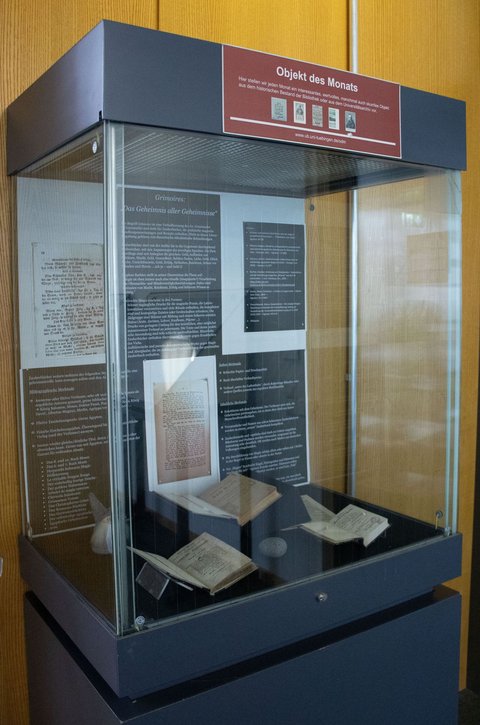 Zu sehen ist das Objekt des Monats in der Vitrine