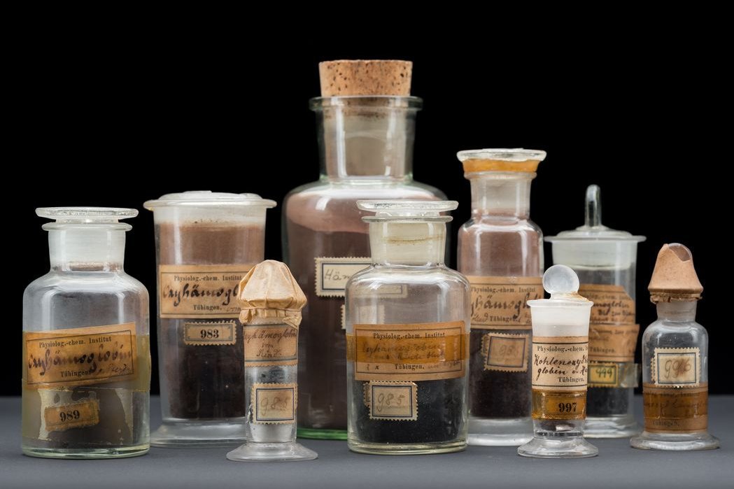 Hämoglobin Abbildung: Hämoglobin © Museum der Universität Tübingen