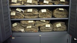 Blick in einen Aufbewahrungsschrank des Herbarium Tubingense 