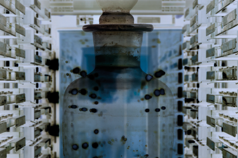 Foto: The Nucleus Project © Museum der Universität Tübingen/Valentin Marquardt