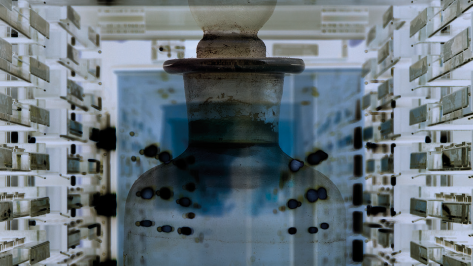 Foto: The Nucleus Project © Museum der Universität Tübingen/Valentin Marquardt