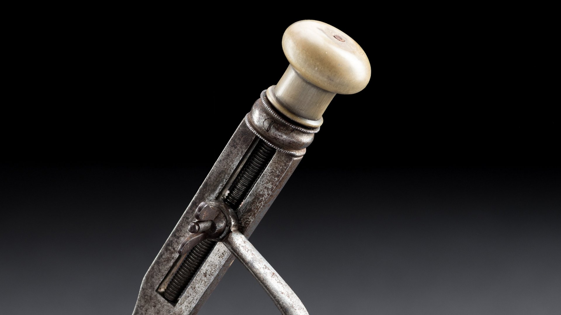 Pelican (tooth crusher) for tooth extraction, with rotary knob, early modern period 