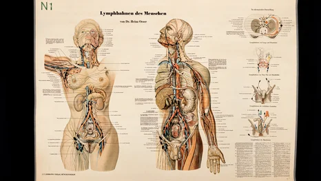 Sammlung der HNO-Klinik