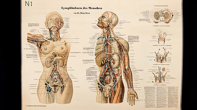Sammlung der HNO-Klinik