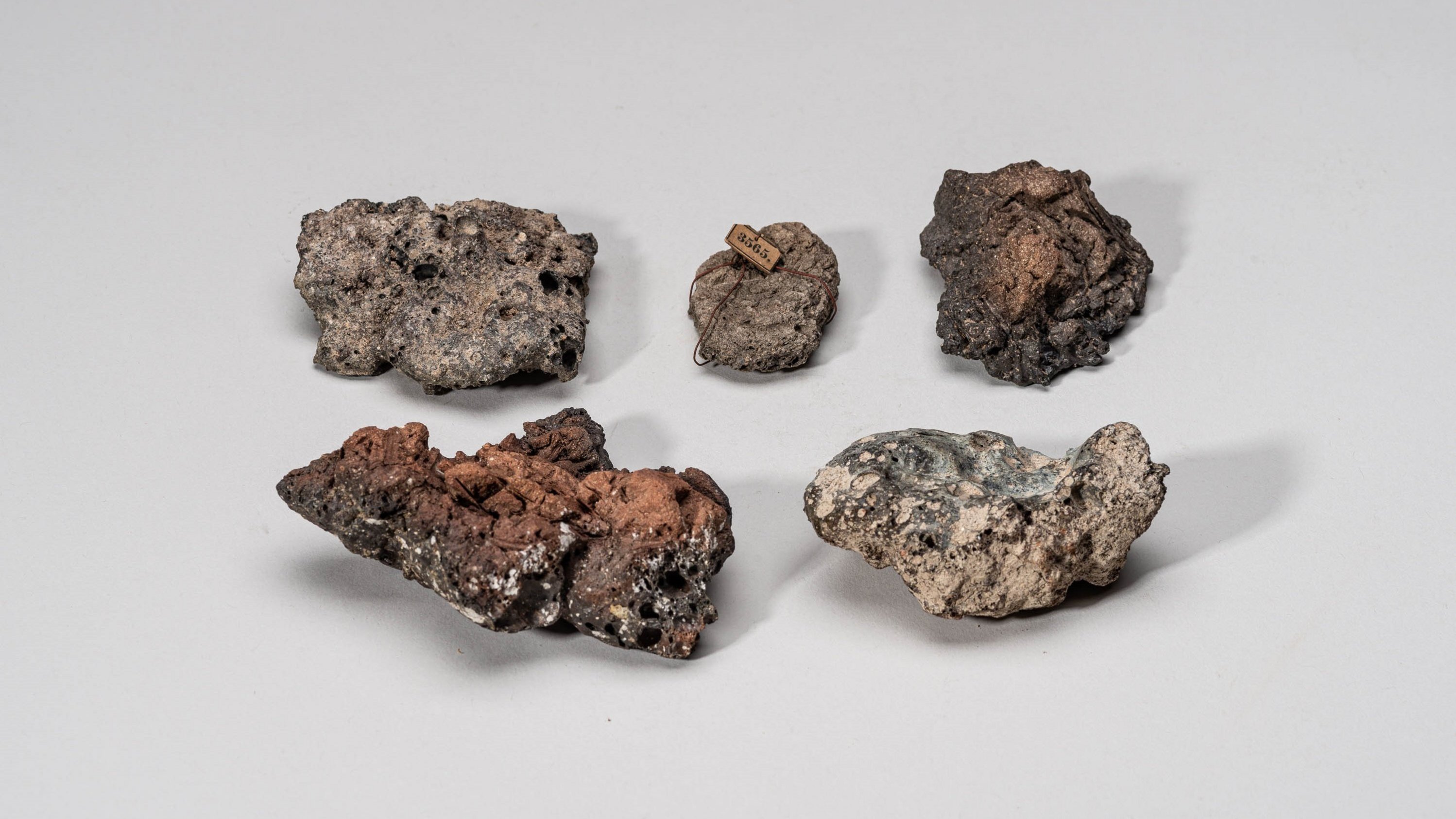 Troianische Lehmziegel aus der „Troia, Schliemann und Tübingen“ Ausstellung im Schloss Hohentübingen im Rittersaal