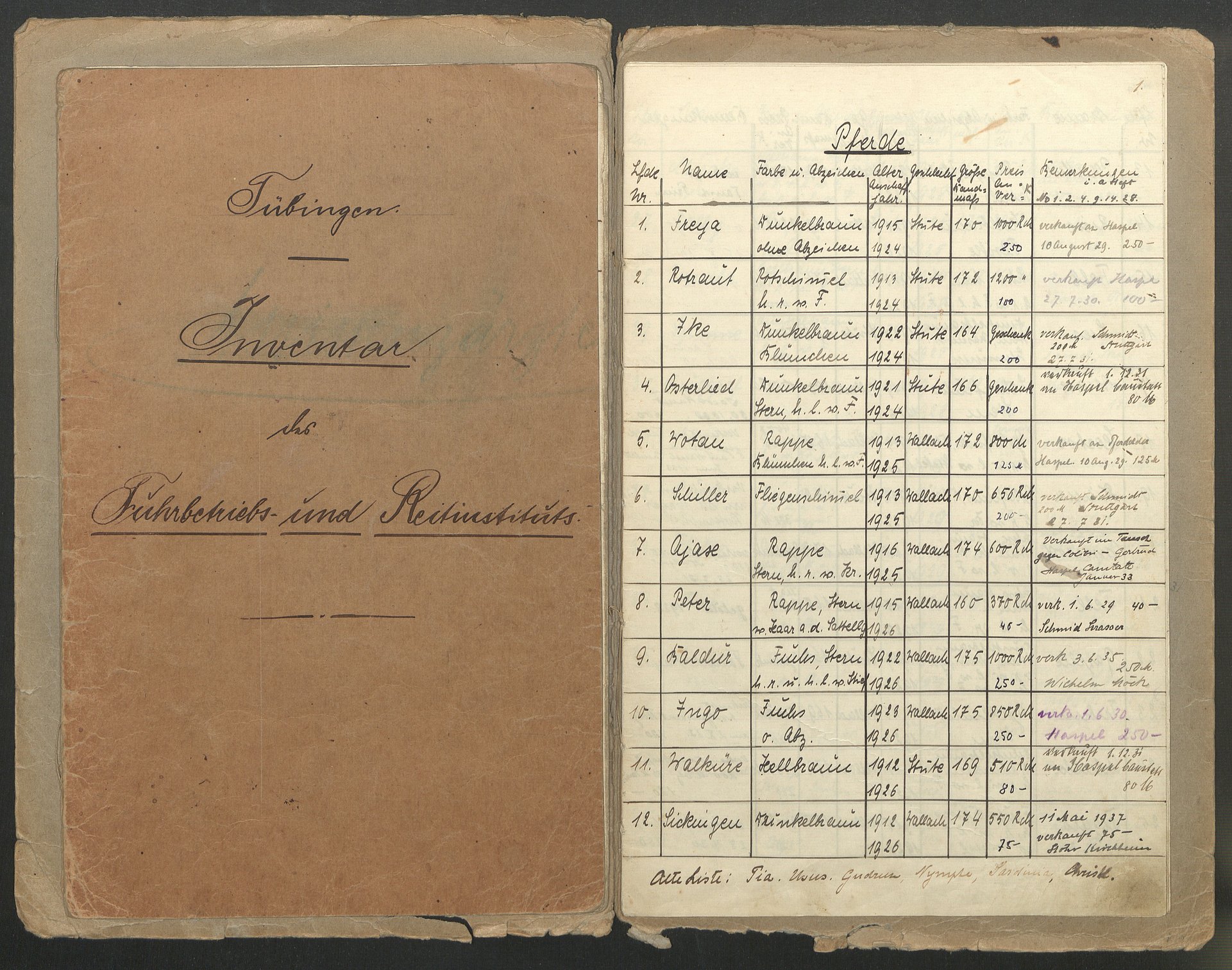 Fotographie eines historischen Inventarbuchs, auf der ersten Seite aufgeschlagen