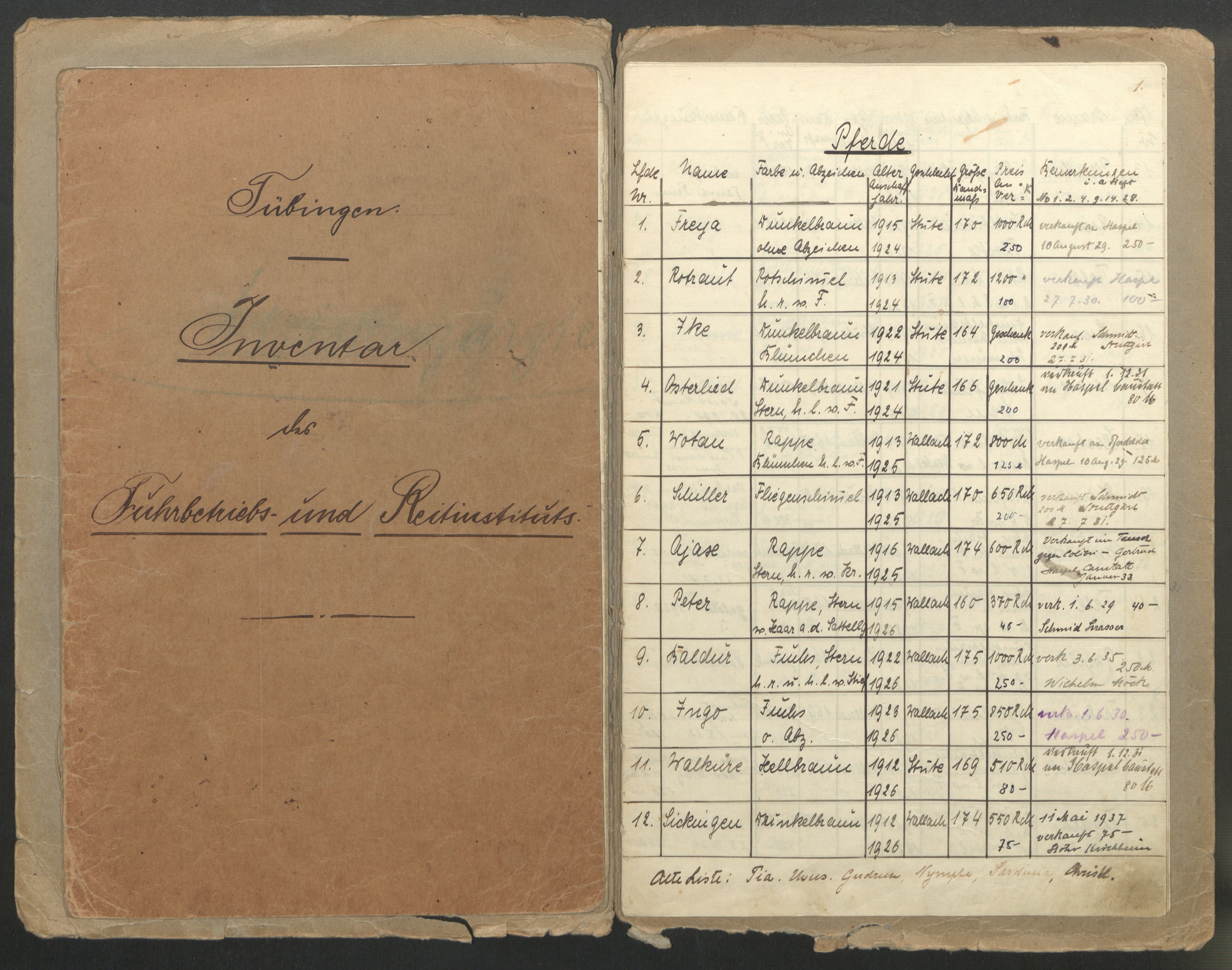 Fotographie eines historischen Inventarbuchs, auf der ersten Seite aufgeschlagen