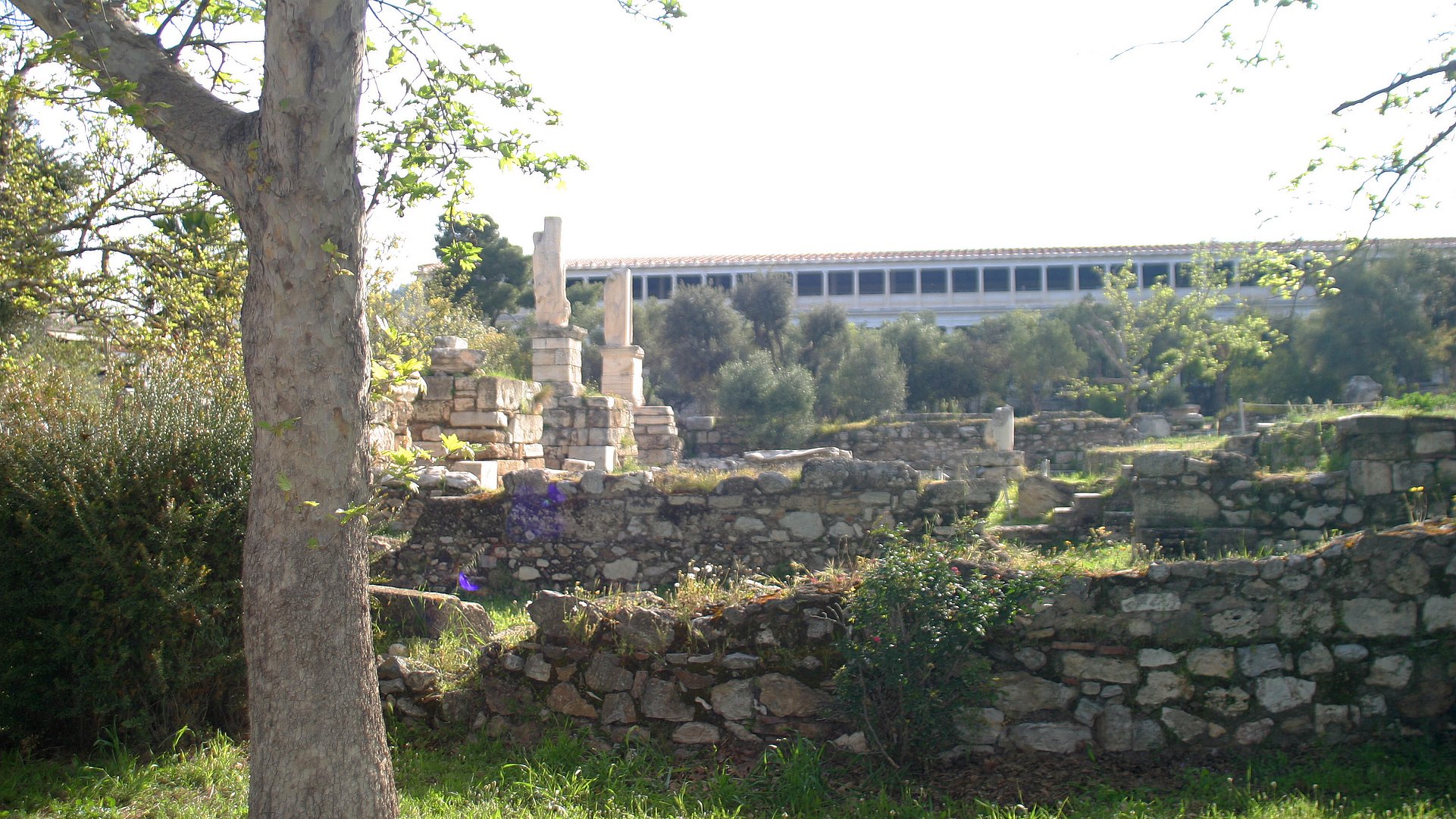 Foto von Ruinen auf der klassischen Agora von Athen, mit einem Baum links im Vordergrund, bewachsenen Mauerresten im Mittelgrund, links mit aufragenden Säulen, und im Hintergrund unscharf die rekontruierte Stoa des Attalos