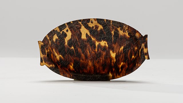 Tortoiseshell bowl propped up on its long side