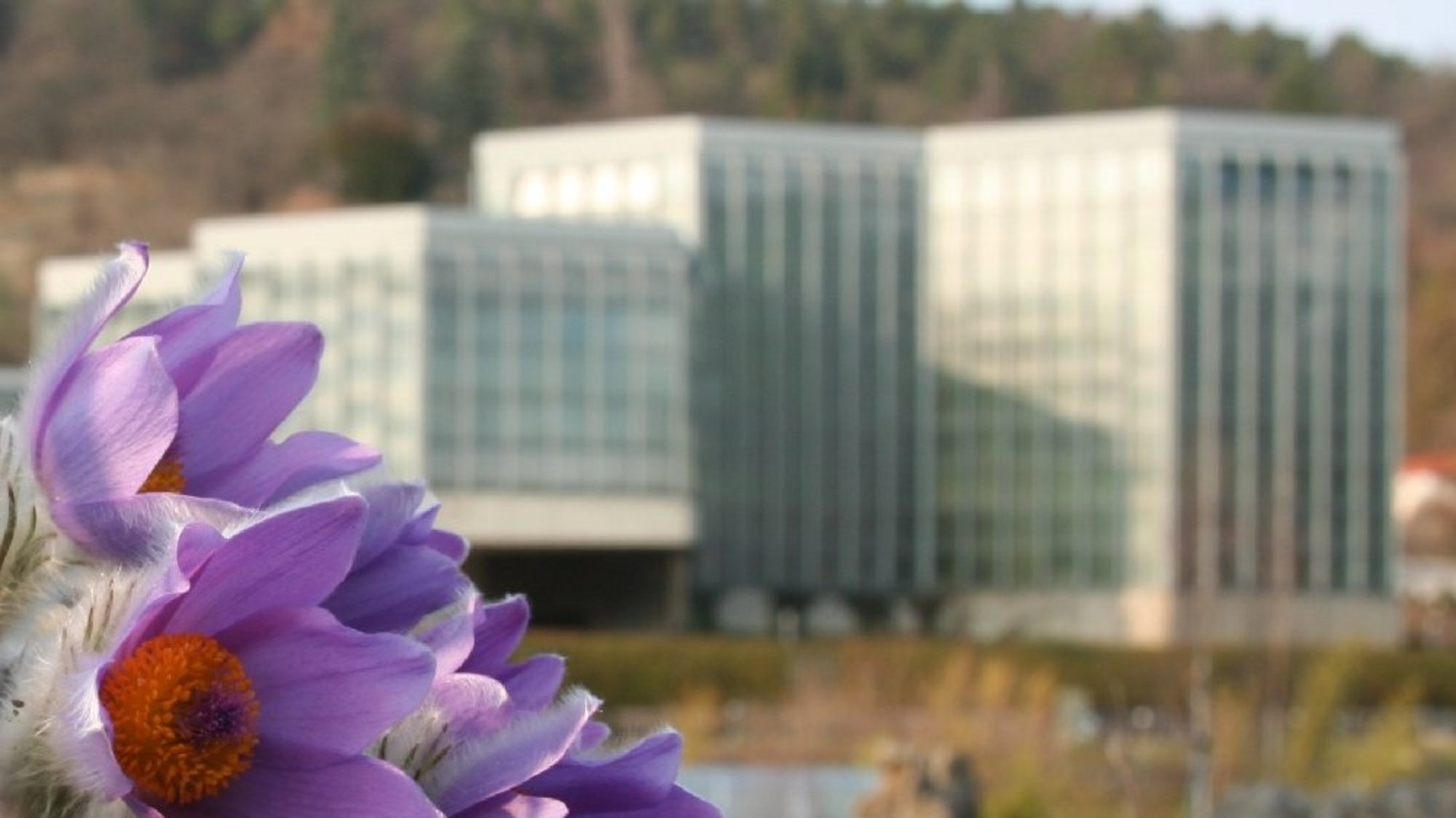 Abbildung: Botanischer Garten Highlight © Museum der Universität Tübingen/Valentin Marquardt