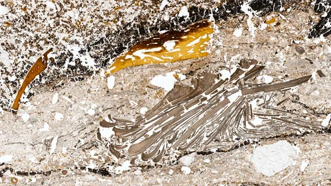 Geoarchäologische Sammlung