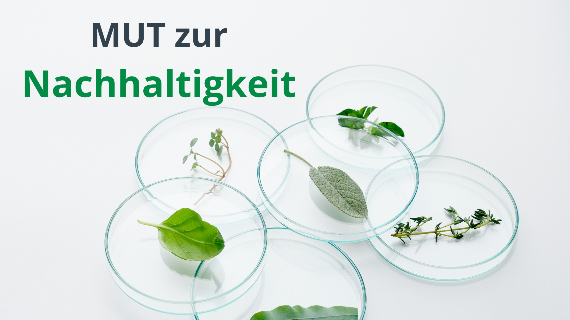 Petrischalen mit Pflanzenteilen auf weißem Hintergrund, darüber der Schriftzug "MUT zur Nachhaltigkeit"