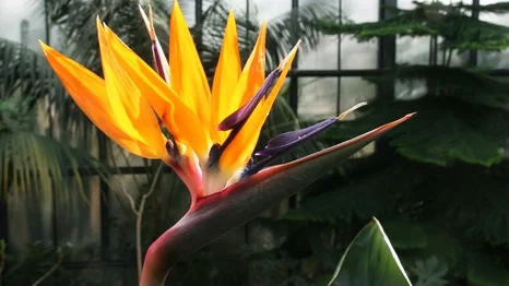 Botanischer Garten