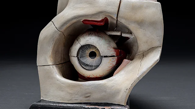Augenärztliche Sammlung