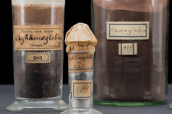 Abbildung: Hämoglobin-Präparate © Museum der Universität Tübingen