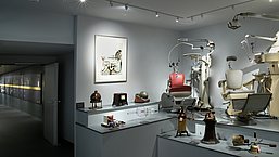 A closer look at the dental exhibition at the University of Tübingen.
