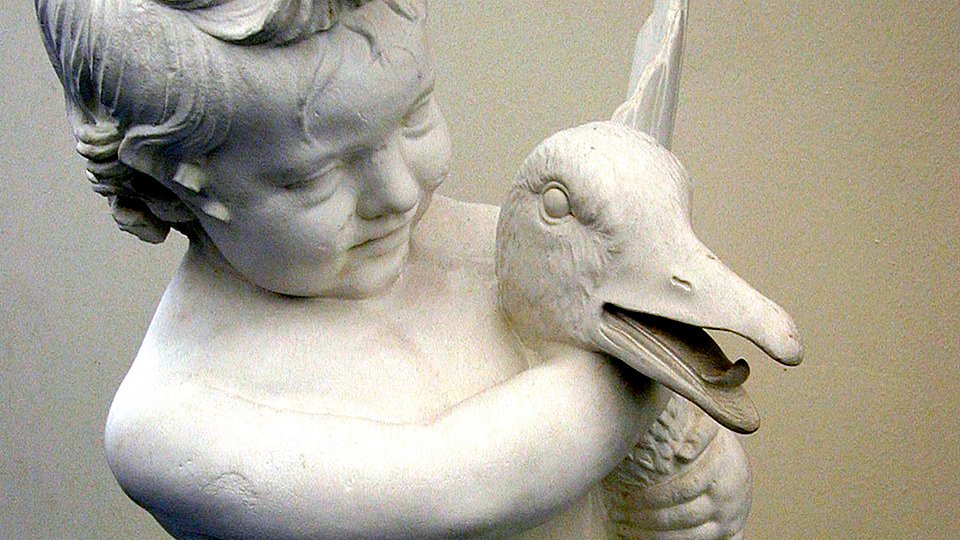 Abbildung: Gänsewürger © Museum der Universität Tübingen/Valentin Marquardt