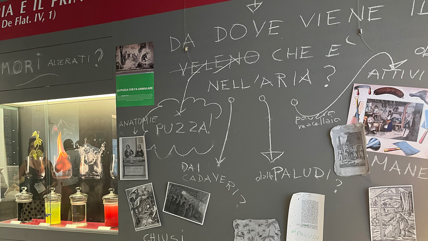 Foto: MUT | Annika Vosseler Ausstellung des Museo di Storia della Medicina mit einer Tafel mit der Fragestellung, wo die Ausstellungsstücke herkommen