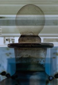Abbildung: The Nucleus Project © Museum der Universität Tübingen/Valentin Marquardt