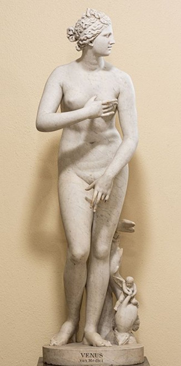 Weiße Marmorstatue einer unbekleideten Venus im leichten Kontrapos, mit nach link gewandtem Kopf, die mit ihren Händen Brust und Scham bedeckt