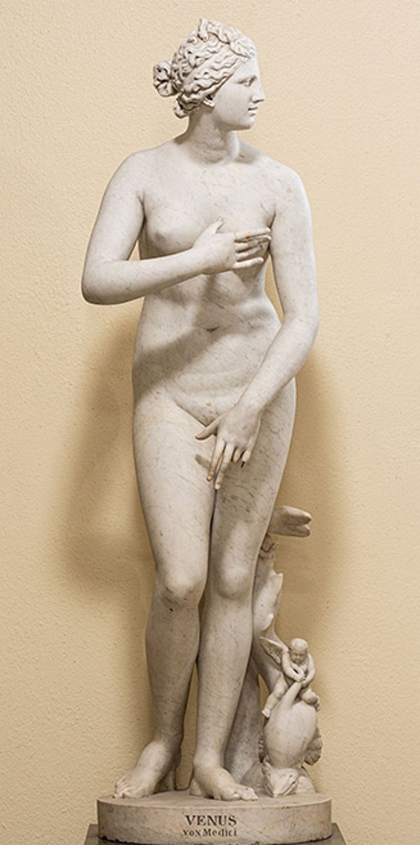 Weiße Marmorstatue einer unbekleideten Venus im leichten Kontrapos, mit nach link gewandtem Kopf, die mit ihren Händen Brust und Scham bedeckt