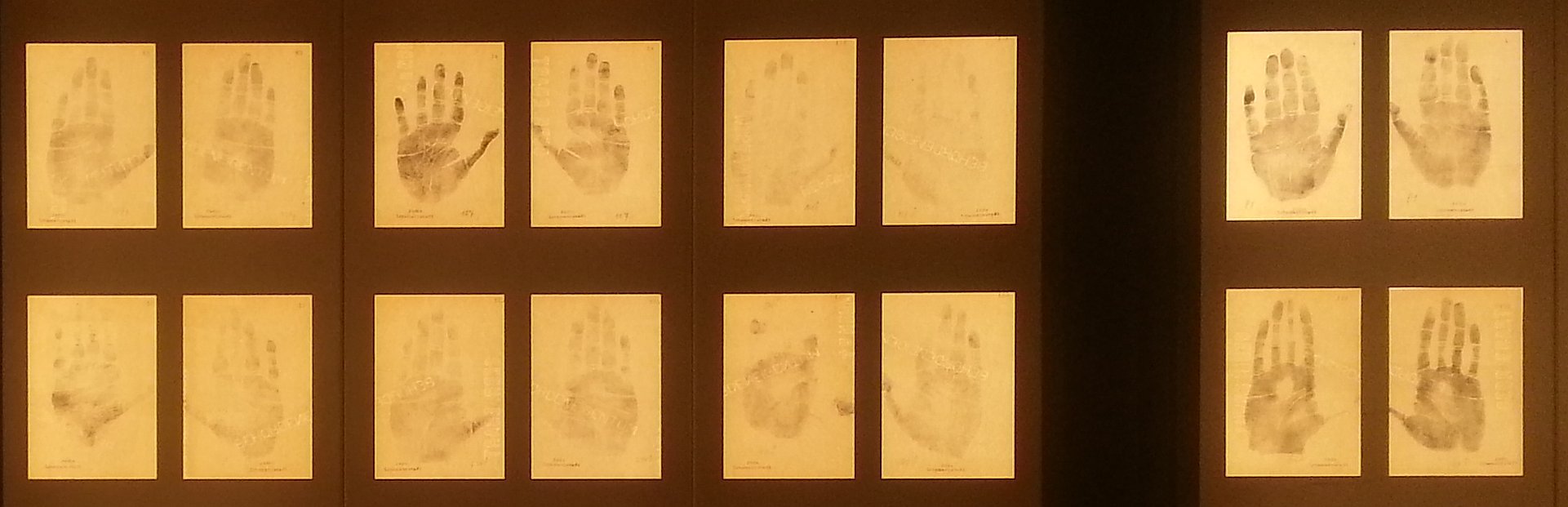 Extrait de l'exposition „In Fleischhackers Händen“ © MUT Grille régulière, regroupée en trois blocs, avec des empreintes de mains sur fond jaune