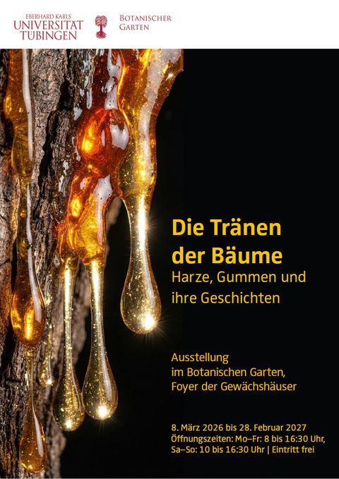Ausstellungsplakat von "Die Tränen der Bäume. Harze, Gummen und ihre Geschichten" vom 8. März 2026 bis 28. Februar 2027 im Botanischen Garten der Universität Tübingen, Foyer der Gewächshäuser, mit dem Logo des Botanischen Gartens in einer weißen Kopfzeile und darunter eine KI-generierte Makroaufnahme einer Borke mit Harztropfen vor schwarzem Hintergrund