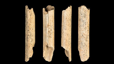 Nahaufnahmen von vier nebeneinander liegenden Flötenfragmenten aus Elfenbein vor schwarzem Hintergrund