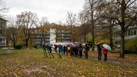 © MUT | F. Kurze