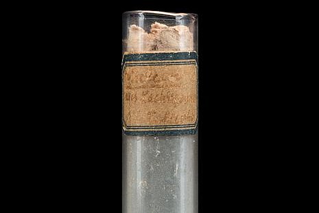Nuklein-Präparat Nuklein-Präparat © Museum der Universität Tübingen