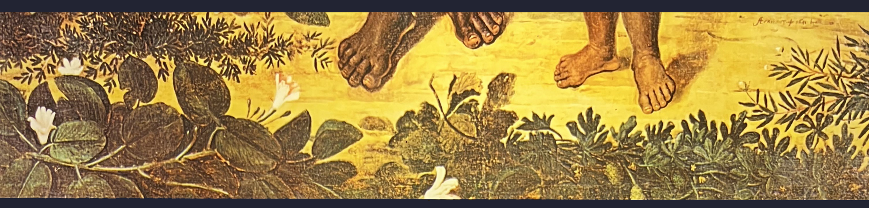 Détail d'un dessin colorisé avec bordure florale et pieds de people of colour