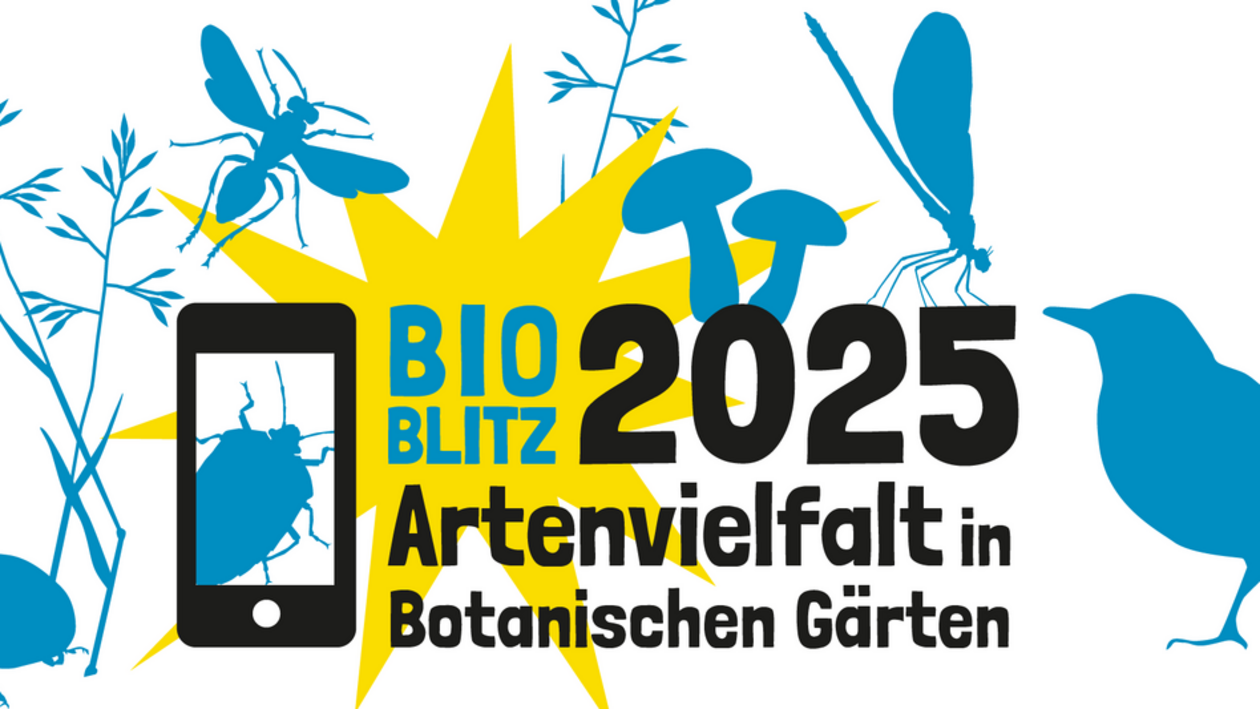 Blaue Silhouetten einzelner Pflanzen und heimischer Kleintiere umringen den Schriftzug "BioBlitz 2025 Artenvielfalt in Botanischen Gärten"