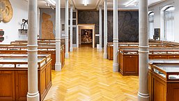 View of the Palaeontological Exhibition Collection in the Stratigraphic Hall, featuring collection cabinets.