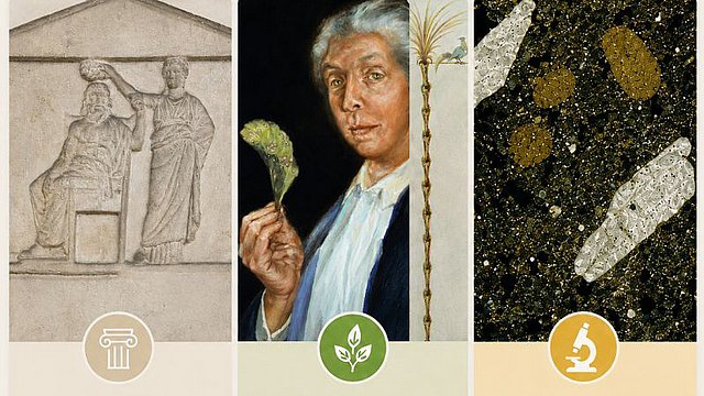 Drei senkrecht nebeneinander stehende Panele: graubraun gerahmt ein Relieffoto mit Frauenfigur, die eine sitzende Männerfigur bekränzt, mit Säulensymbol und der Unterschrift "Agora", grün gerahmt das Gemälde einer Professorin mit Tabakblatt in der erhobenen Hand, einem Pflanzensymbol und der Unterschrift "Was bleibt." und gelb gerahmt das Foto einer Sedimentnahaufnahme mit Mikroskop-Symbol und der Unterschrift "Dirty Science".