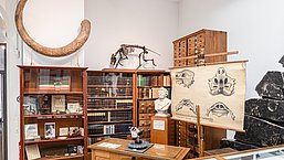 The interior of the Stratigraphic Hall, featuring some of the historical furnishings.