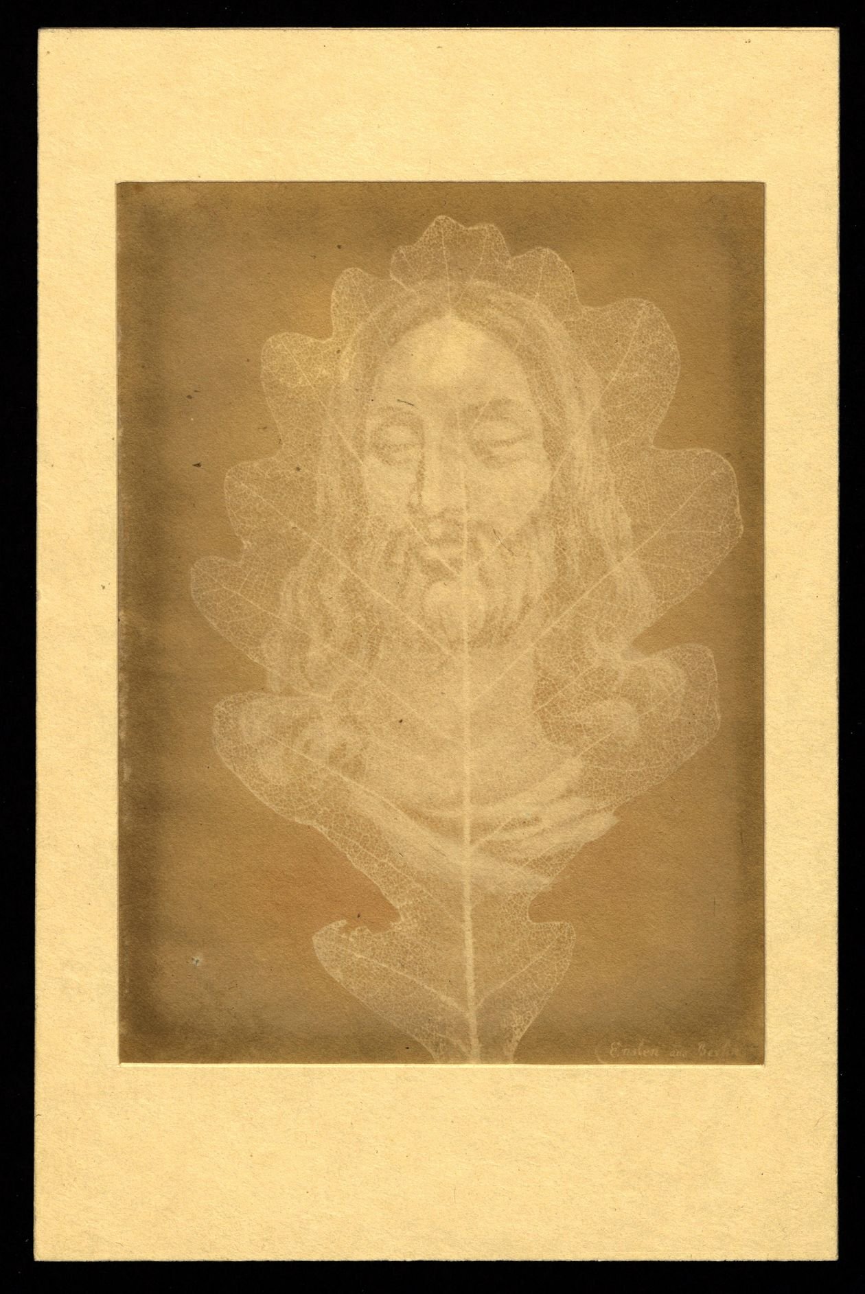 Photogenische Zeichnung auf Salzpapier von Johann Carl Enslen: Christuskopf auf Eichenblatt. Dresden, um 1839-1840.