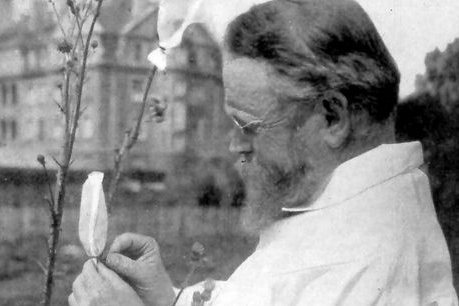 Foto: Carl Correns in seinem Versuchsgarten © Museum der Universität Tübingen