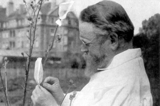 Foto: Carl Correns in seinem Versuchsgarten © Museum der Universität Tübingen