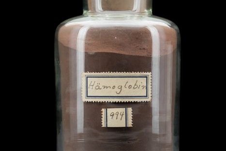 Foto: Präparat mit Oxyhämoglobin vom Hund © Museum der Universität Tübingen