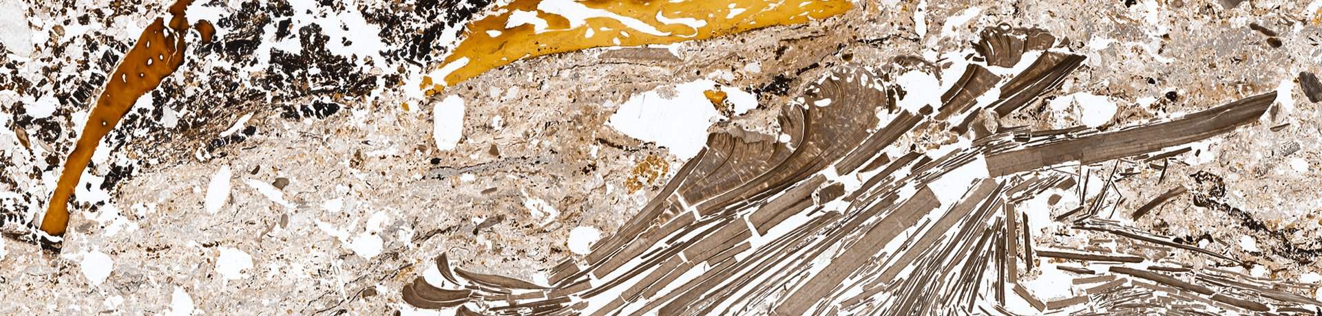 Abbildung: Geoarchäologische Sammlung © Museum der Universität Tübingen/Valentin Marquardt
