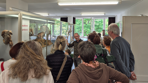 Foto: MUT | Elke Steinhauser Jürgen Rösinger, Präparator der Zoologischen Sammlung der Universität Tübingen, zeigt den Freunden des MUT Raubtierpräparate