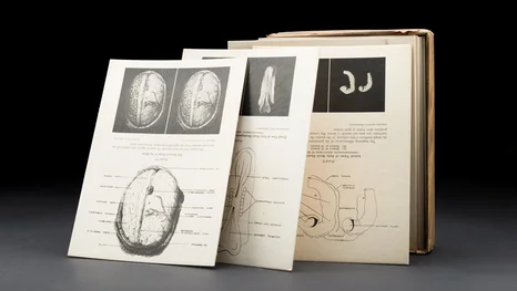 Sammlung für Ethik und Geschichte der Medizin