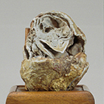 Steinkind von Leinzell